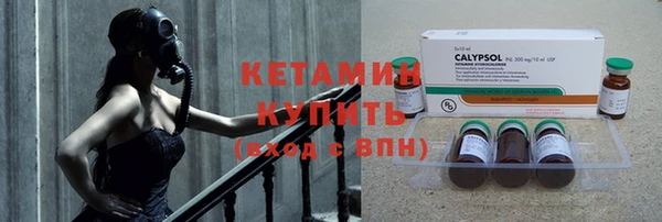 шишки Бронницы
