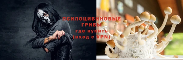 таблы Белокуриха