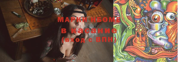 шишки Бронницы