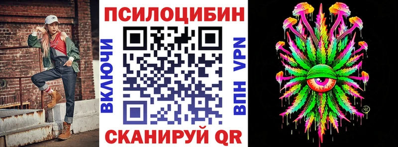блэк спрут маркетплейс  Кадников  Псилоцибиновые грибы Psilocybe 