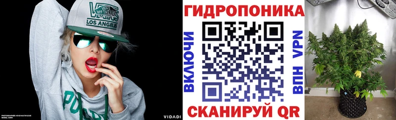 купить наркотик  Кадников  Конопля планчик 